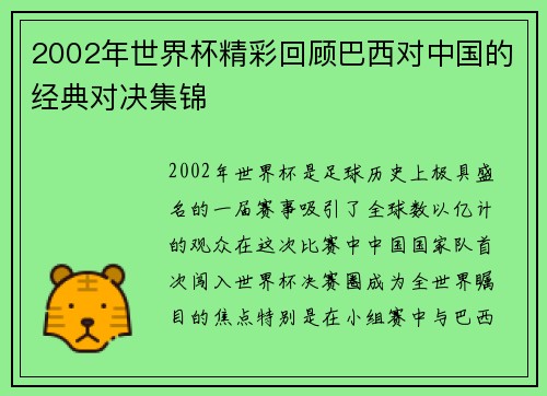 2002年世界杯精彩回顾巴西对中国的经典对决集锦