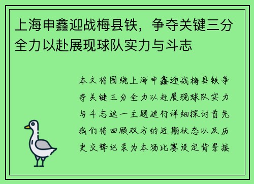 上海申鑫迎战梅县铁，争夺关键三分全力以赴展现球队实力与斗志